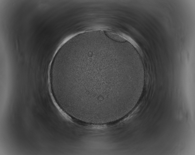 X0000085061055200703051435