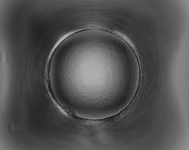 X0000085061056200703051435
