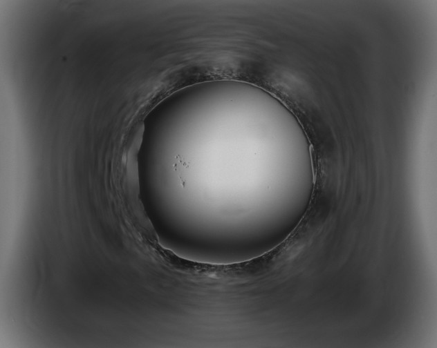 X0000085061057200703051434