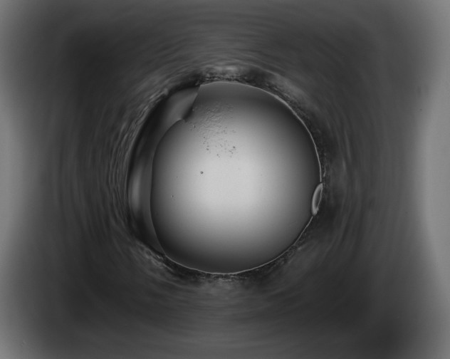 X0000085061058200703051434