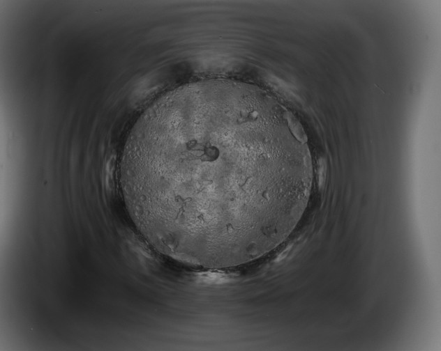 X0000085061059200703051434