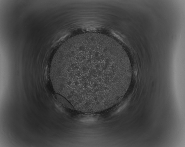 X0000085061060200703051434