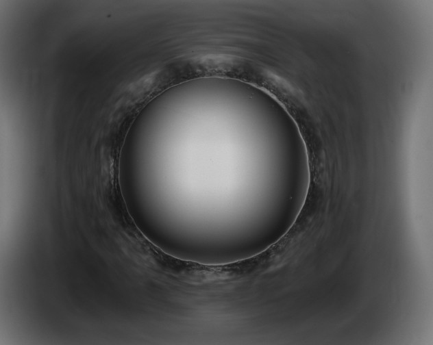 X0000085061061200703051434