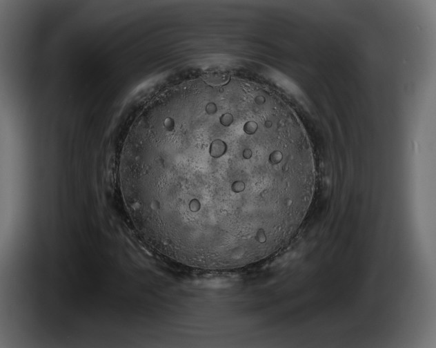 X0000085061063200703051434
