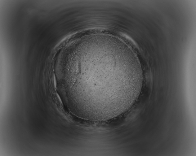 X0000085061064200703051434