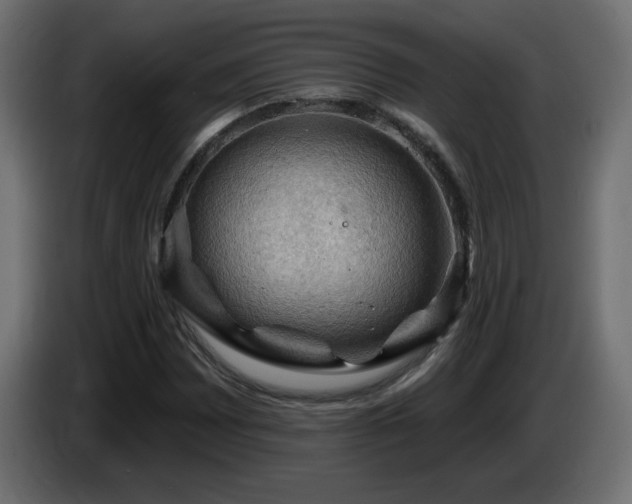 X0000085061065200703051434