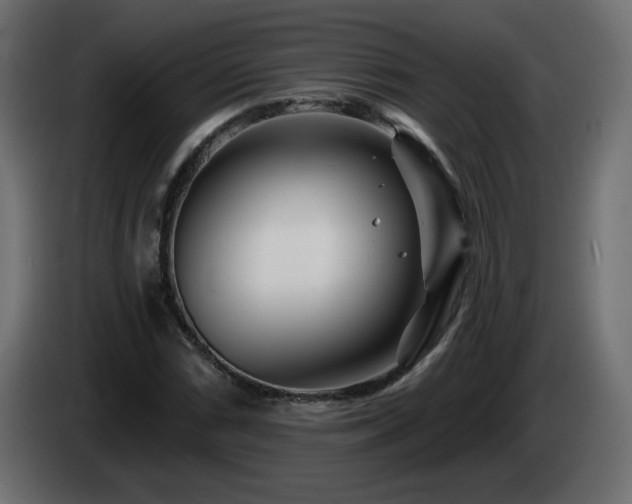 X0000085061066200703051434