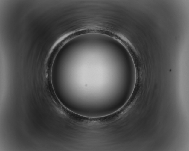X0000085061070200703051434