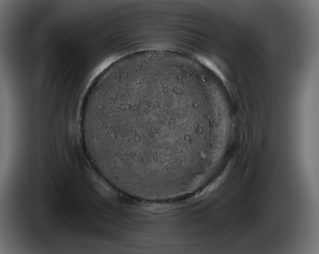 X0000085061071200703051434