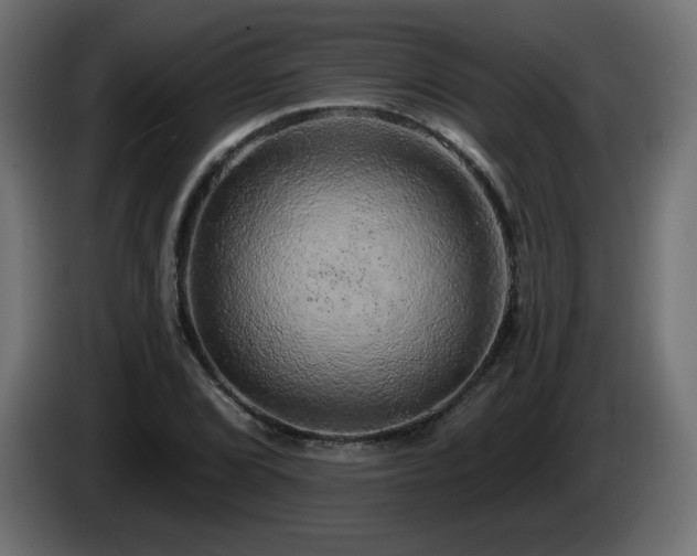 X0000085061072200703051434