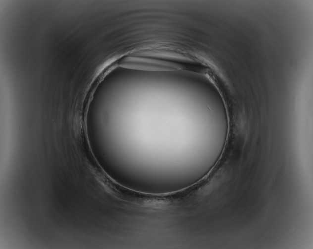 X0000085061073200703051434