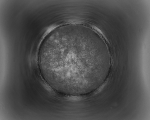 X0000085061074200703051434