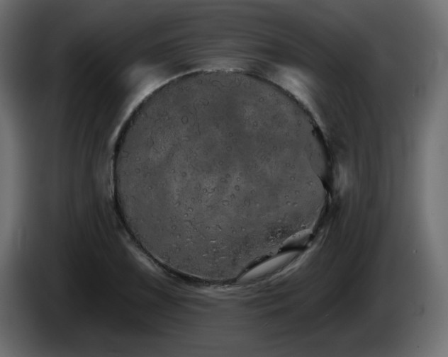 X0000085061075200703051434