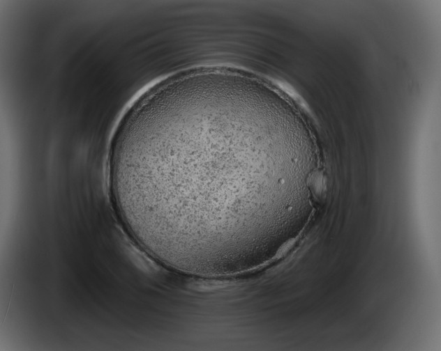 X0000085061076200703051434