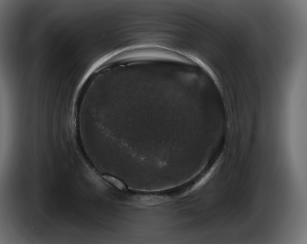 X0000085061077200703051434