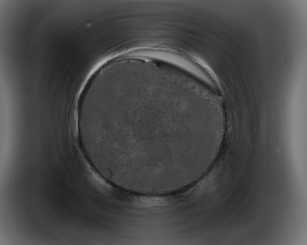 X0000085061079200703051434