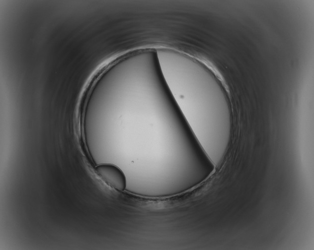 X0000085061080200703051434