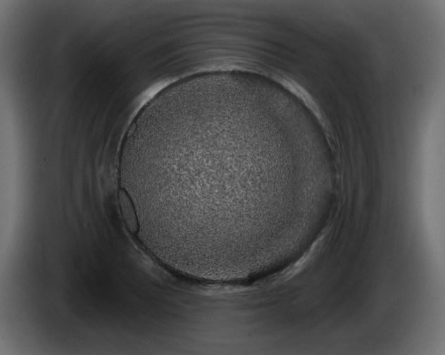 X0000085061081200703051434