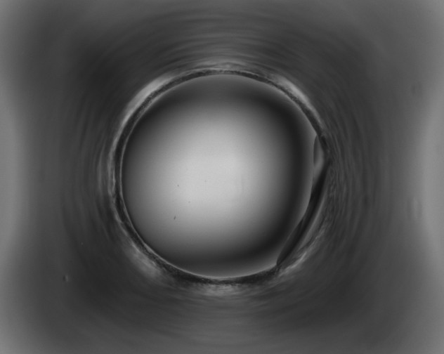 X0000085061082200703051434