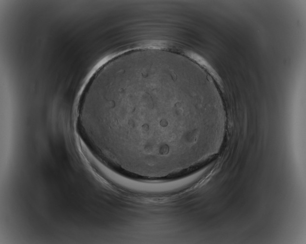 X0000085061083200703051434
