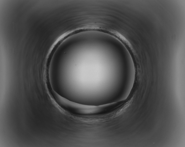 X0000085061085200703051434