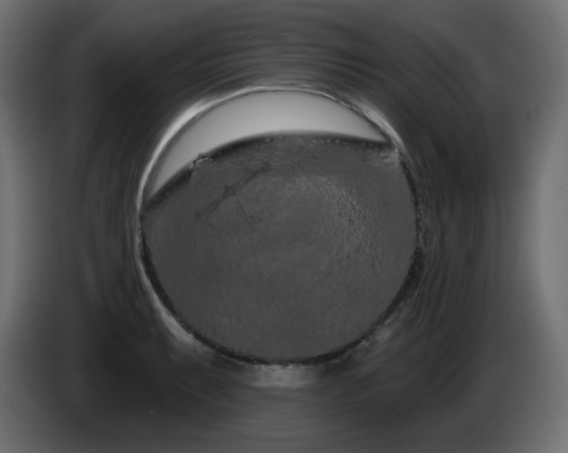 X0000085061087200703051434