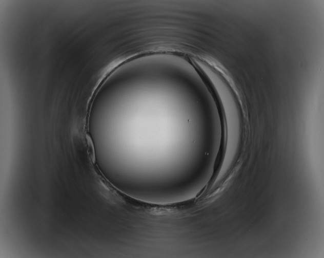 X0000085061089200703051433