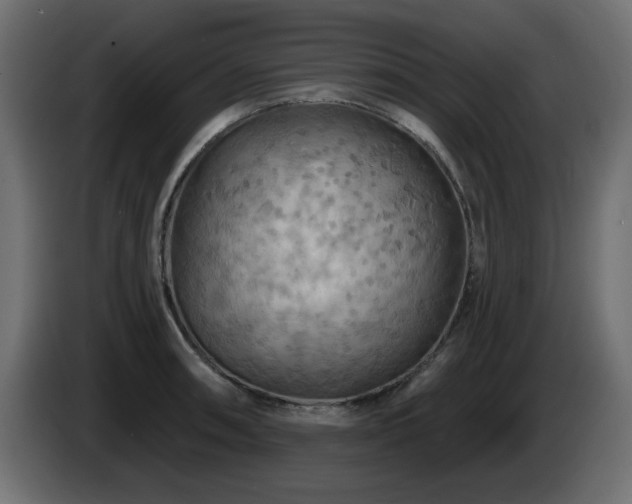 X0000085061090200703051433