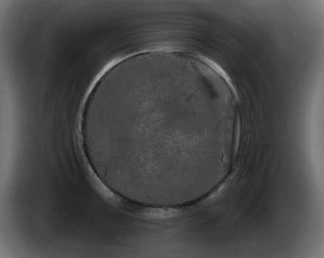 X0000085061091200703051433