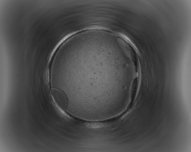 X0000085061092200703051433