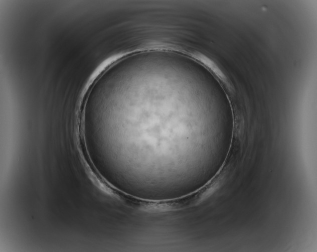 X0000085061094200703051433