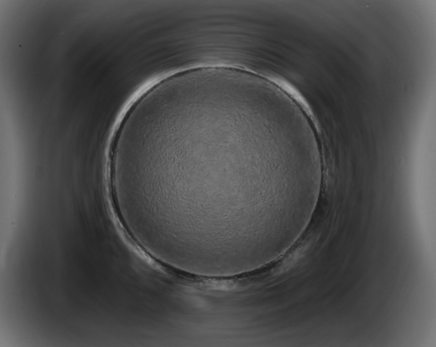 X0000085061096200703051433