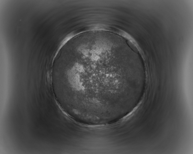 X0000085061097200703051433
