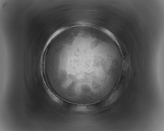 X0000085061098200703051433