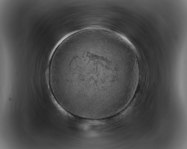 X0000085061100200703051433