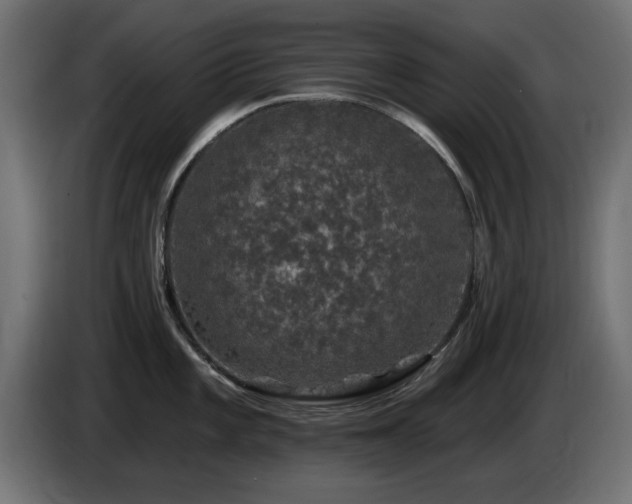 X0000085061101200703051433