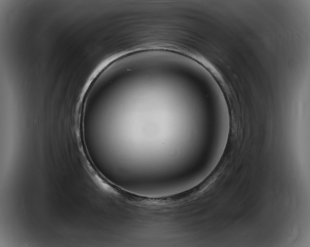 X0000085061102200703051433