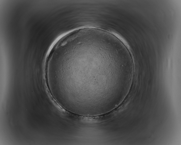 X0000085061104200703051433