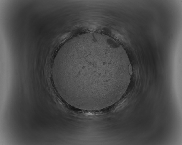 X0000085061105200703051433