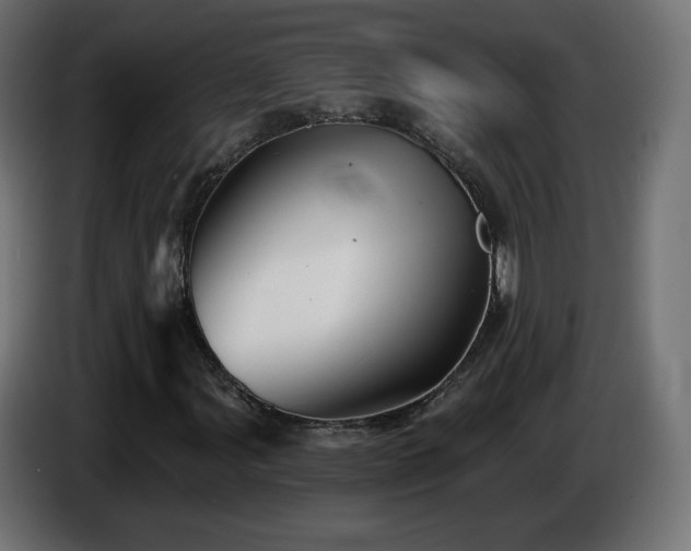X0000085061107200703051433