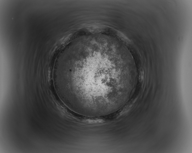 X0000085061108200703051433