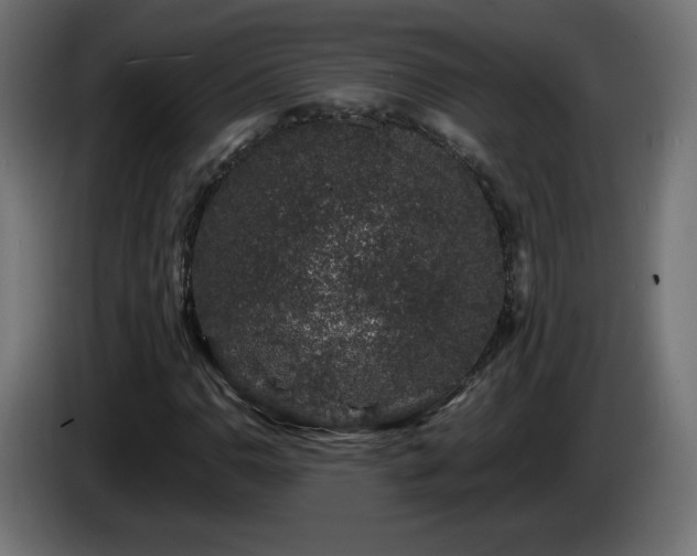 X0000085061110200703051433