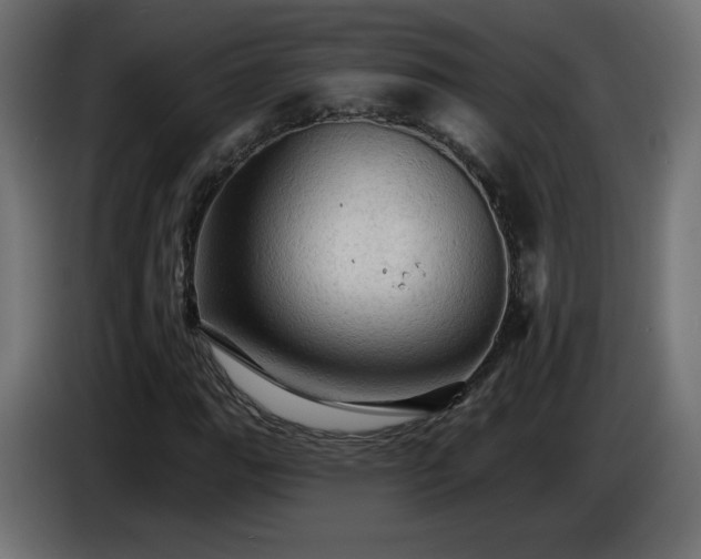 X0000085061111200703051433