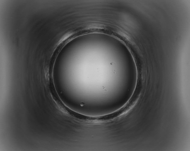 X0000085061113200703051433