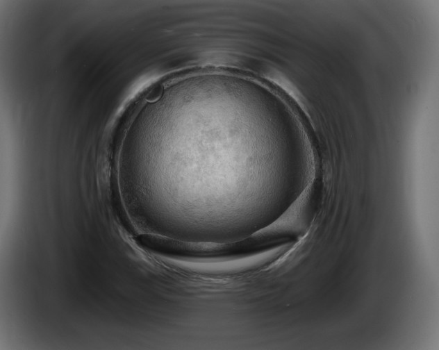 X0000085061115200703051433