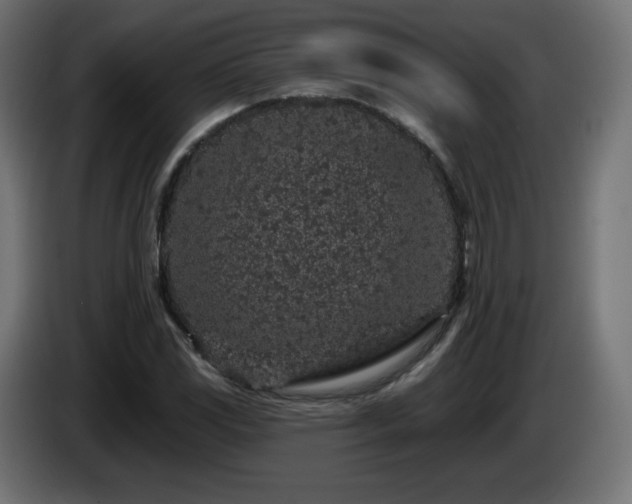 X0000085061117200703051433