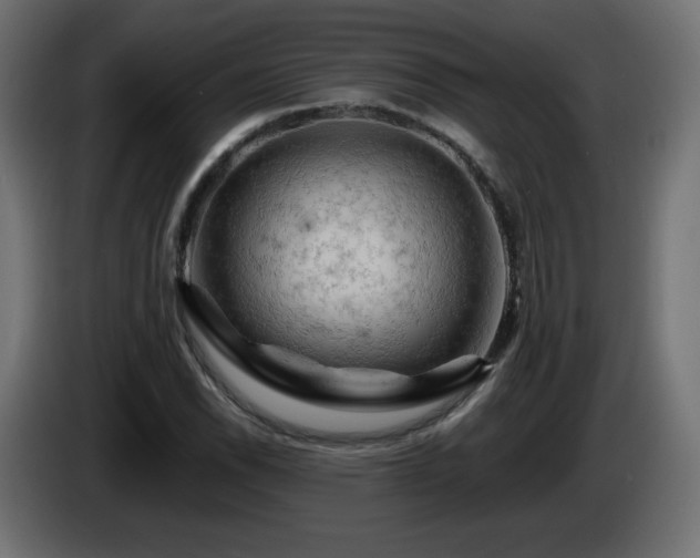 X0000085061118200703051433