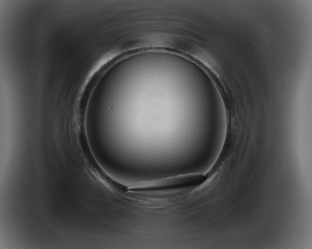 X0000085061119200703051433