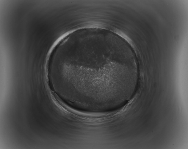 X0000085061120200703051433