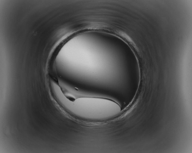 X0000085061122200703051433